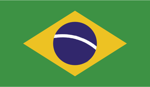 Traduzir para português